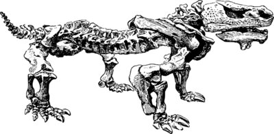 pareiasaurus